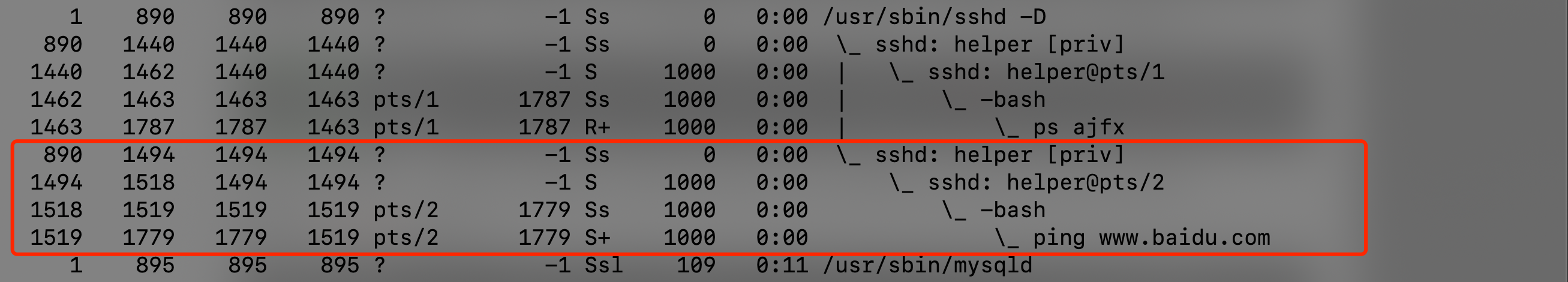 image-20210226163748552