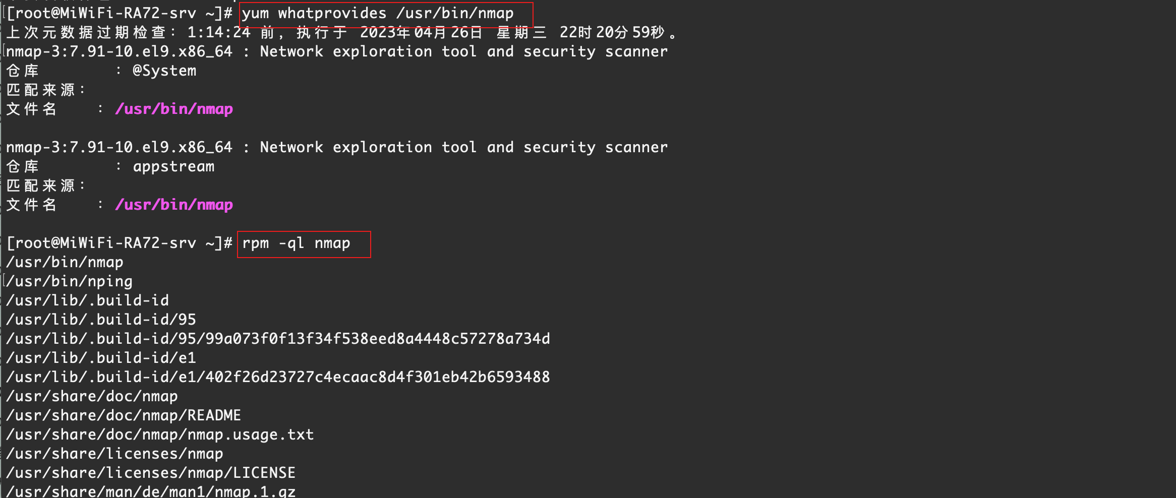 image-20230426233956720